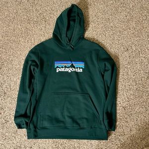 Forrest green Patagonia hoodie, men’s XL, women’s XXL,